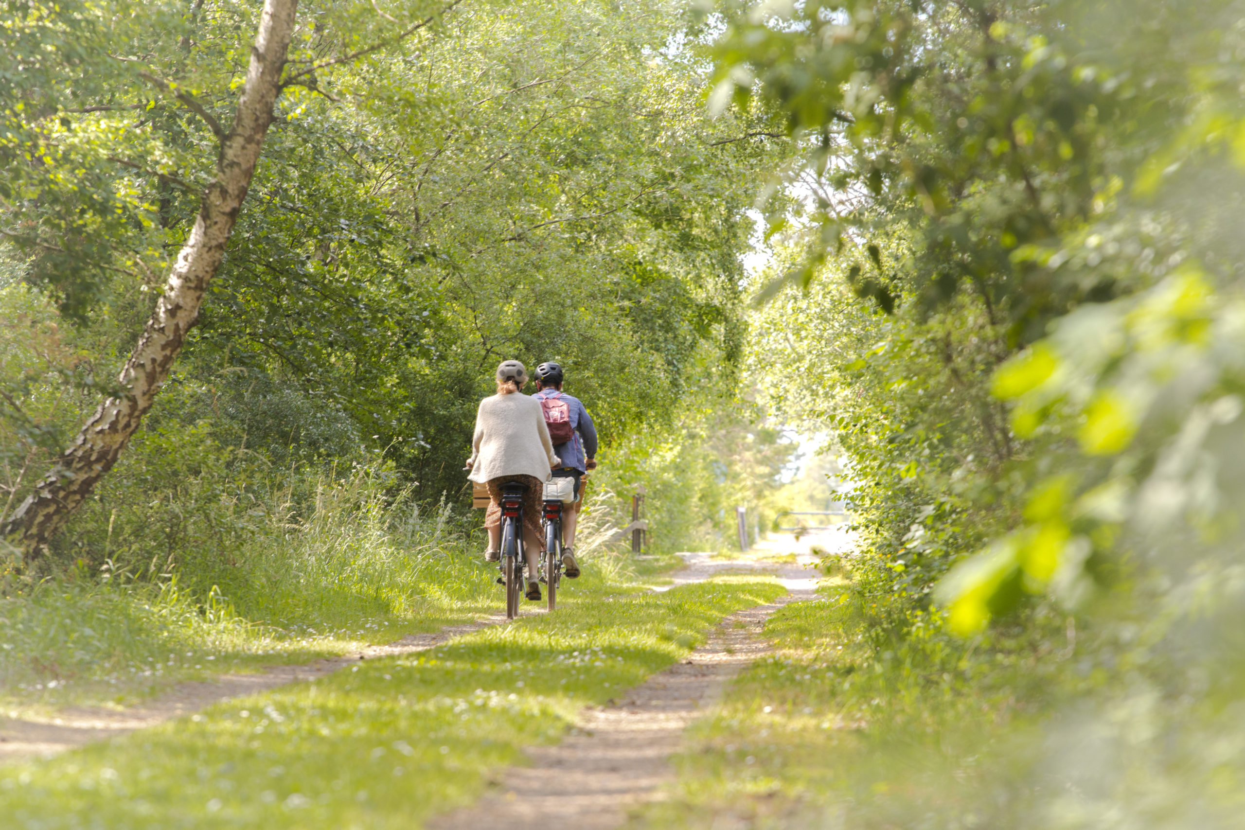 A couple biking at the STF Hiking trail Mörbylångaleden, at wellbeingplace Penåsa. Photo: Joanna Kohnen, Länsstyrelsen