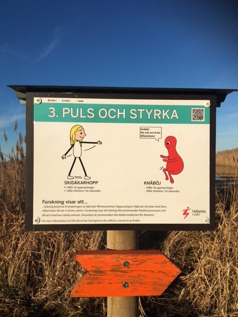 Rörelsepromenad Färjestaden