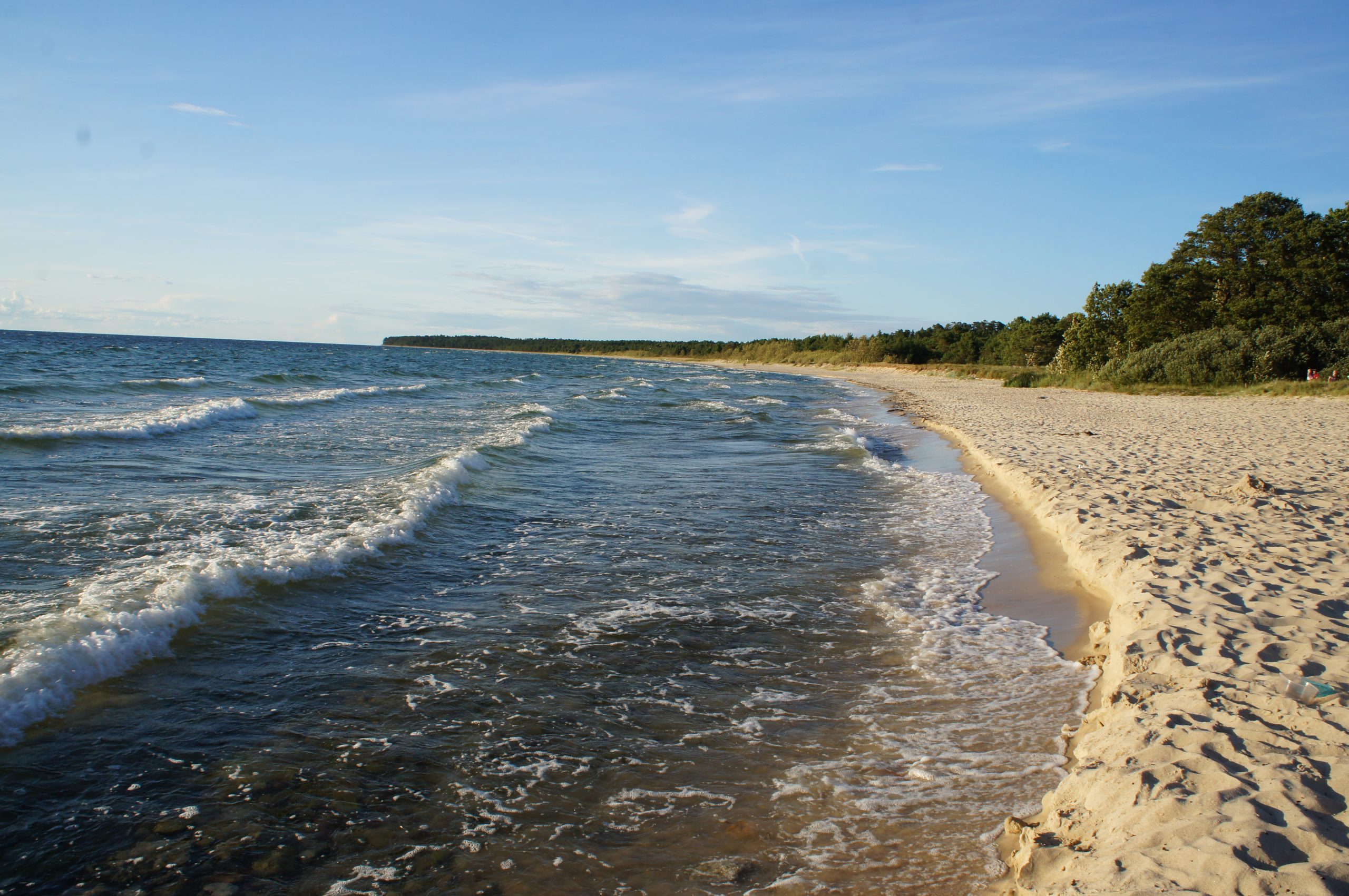 Byrum-Sandvik beach in summer